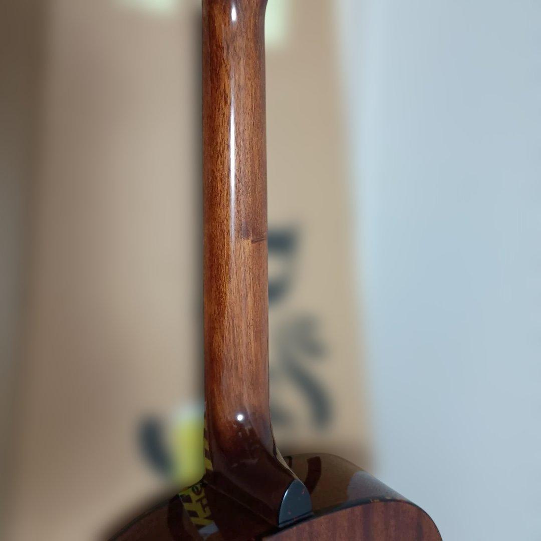 Recording King ROS-G6 アコースティックギター