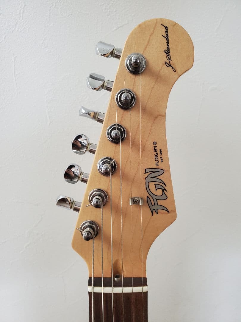ギター FUJIGEN FGN J-Standard JST-5R