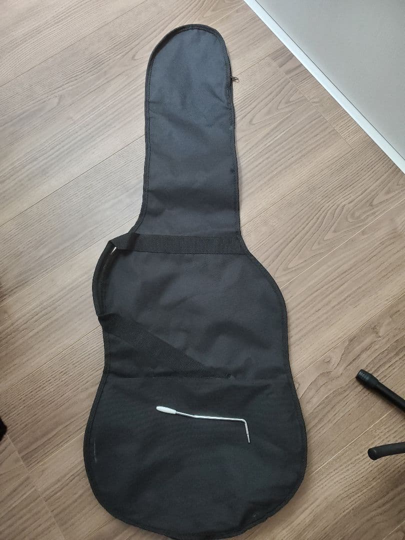 ギター FUJIGEN FGN J-Standard JST-5R