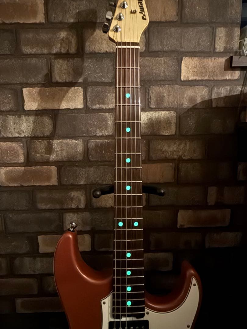 EDWARDS E-SN-190MF 藤岡 幹大モデルステンレスフレット打ち替済