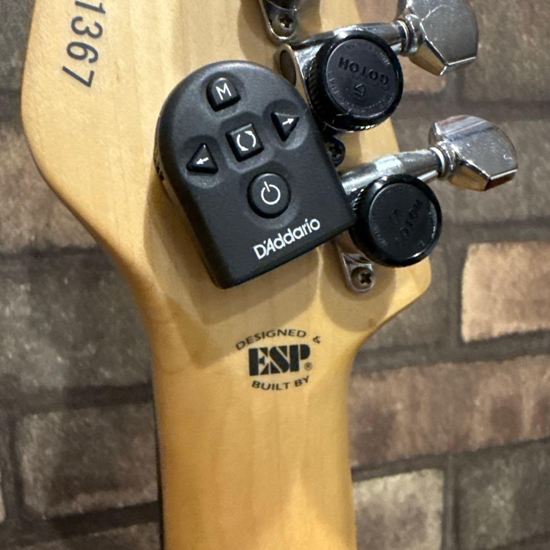 EDWARDS E-SN-190MF 藤岡 幹大モデルステンレスフレット打ち替済