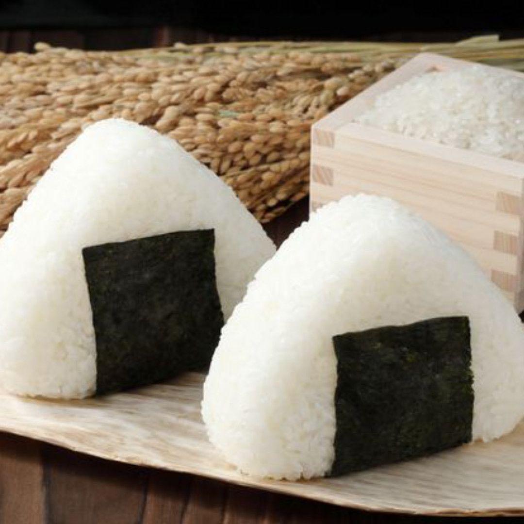 【白米】【精米】広島県産こしひかり 10kg(5kgx2袋)