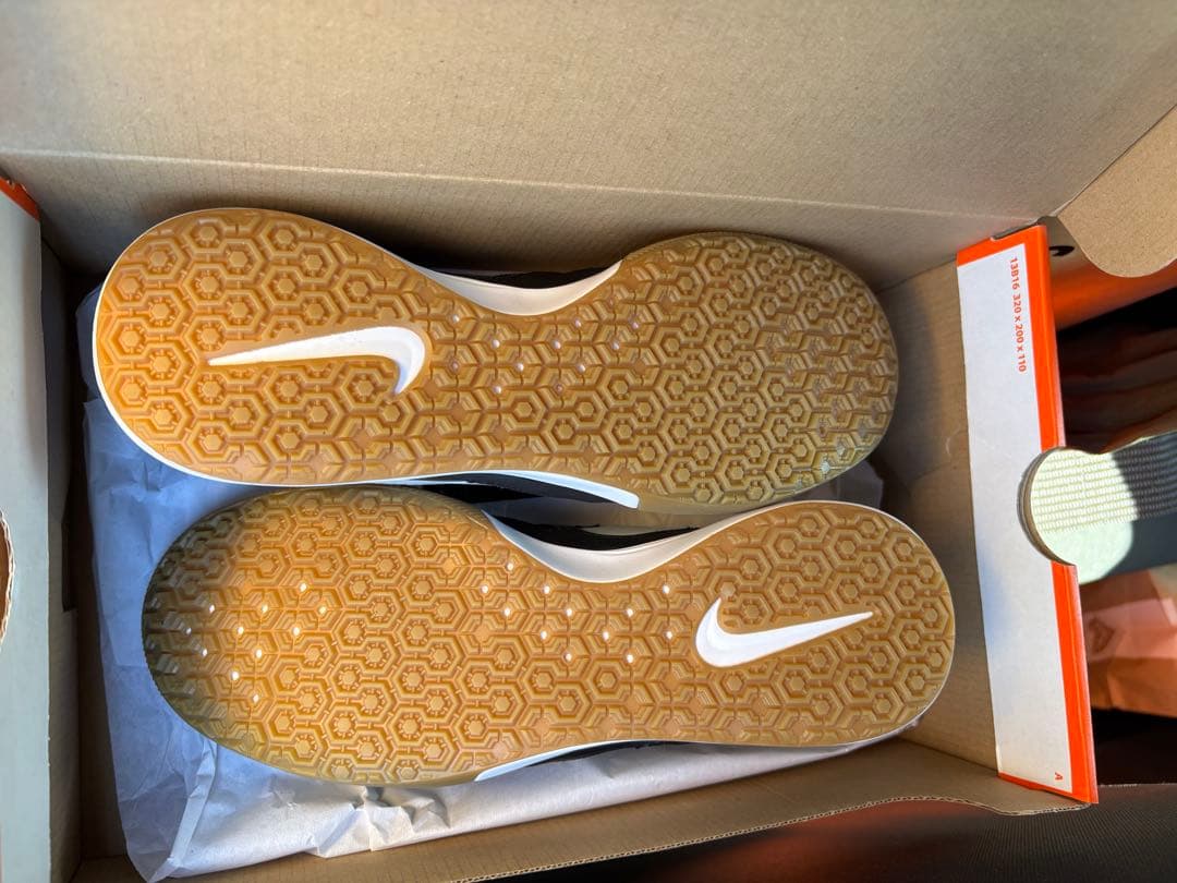 シューズ NIKE TIEMPOX PROXIMO IC 7.5 843961 009