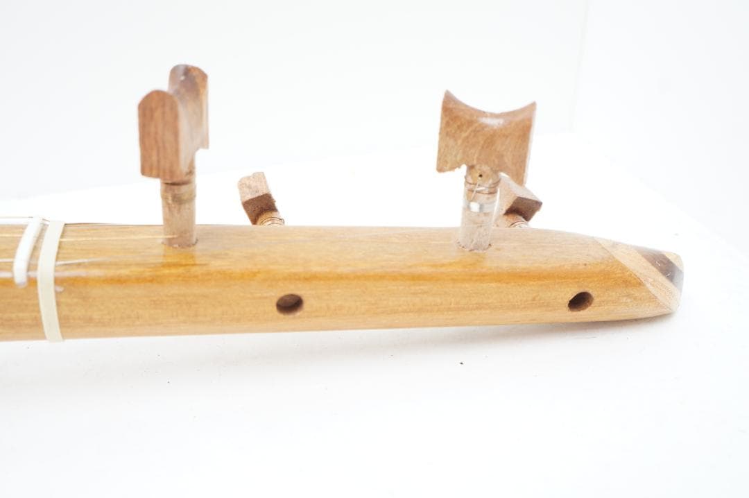 セタール　弦楽器　アジア　民族　リュート系