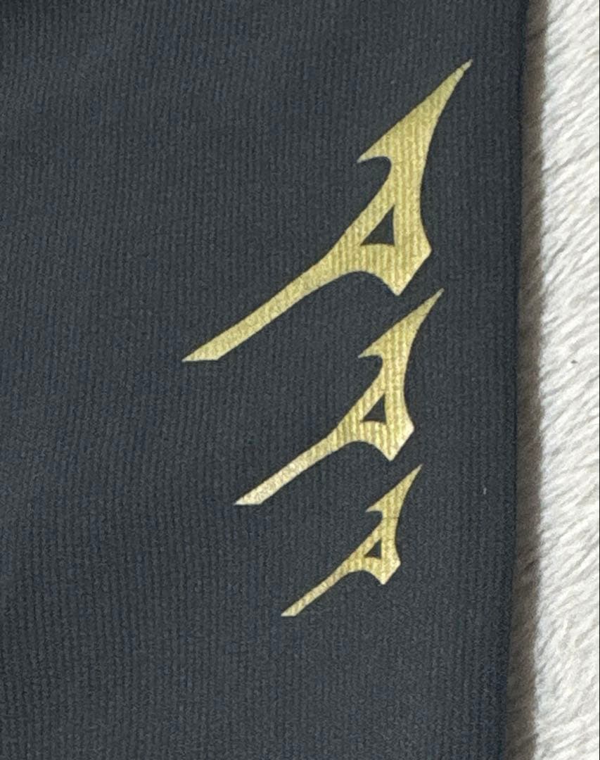 MIZUNO ミズノ ウインドブレーカー 上下 セット ジャケット ズボン