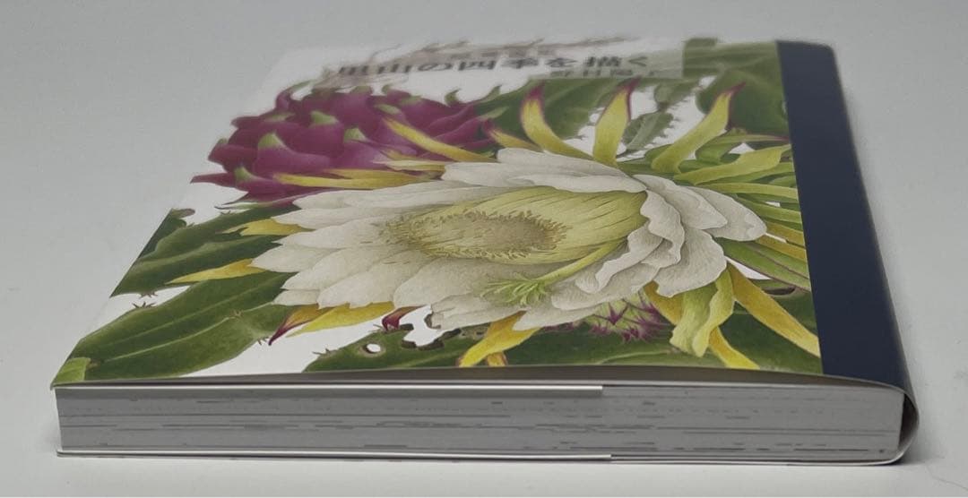 野村陽子　絵葉書集 里山の四季を描く