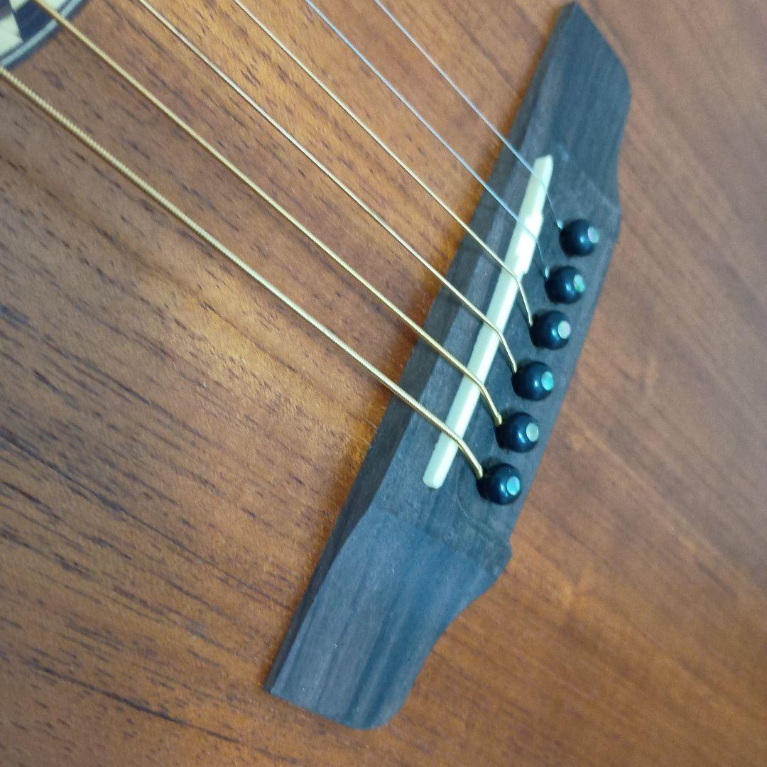 SX DG-LTD2 アコースティックギター