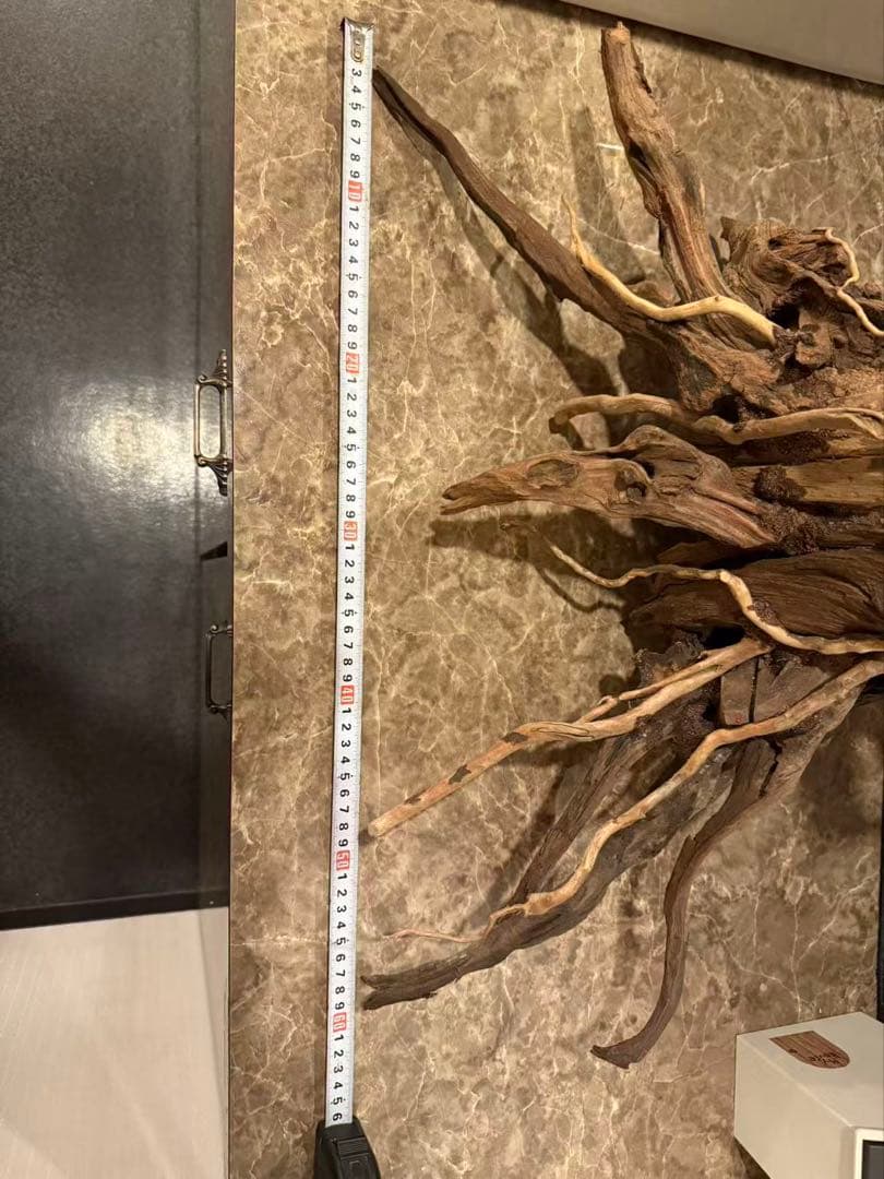 水槽用流木 自然な形状 約120cm