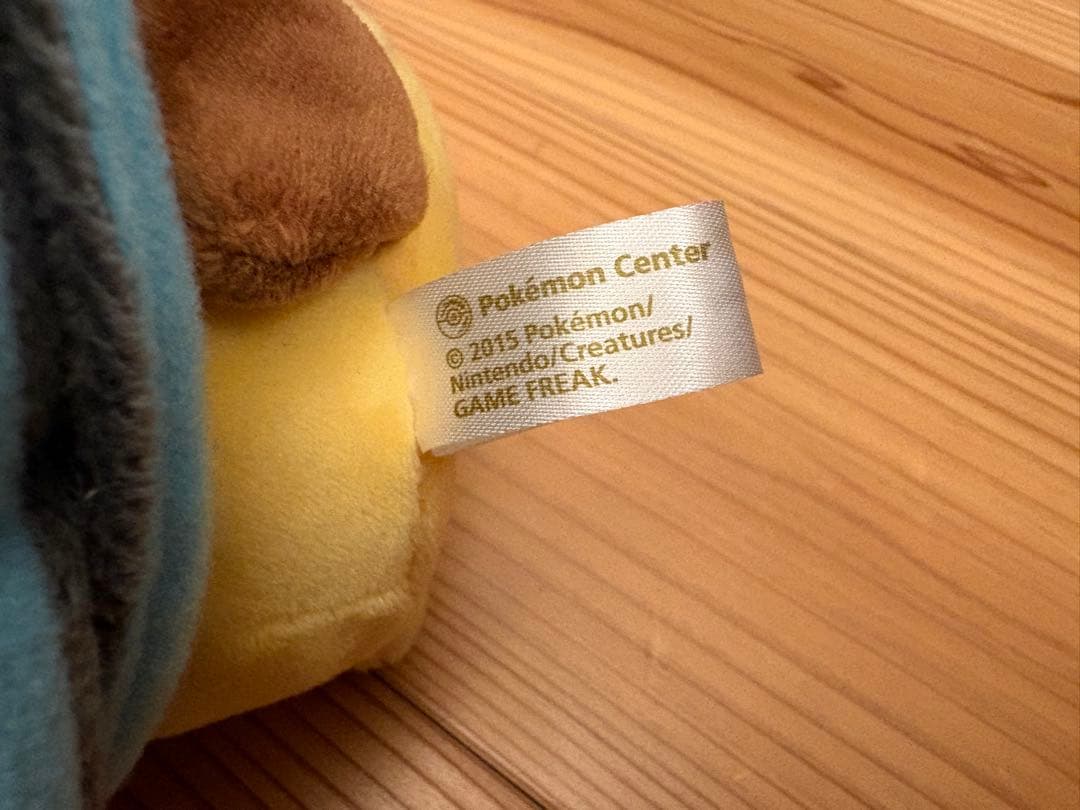 【From Japan】メガリザードンX・Y ポンチョ ピカチュウ2体