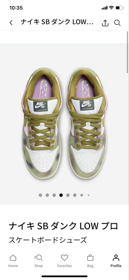 値下げ！ナイキ SB ダンク LOW プロ 23.0 限定コラボ