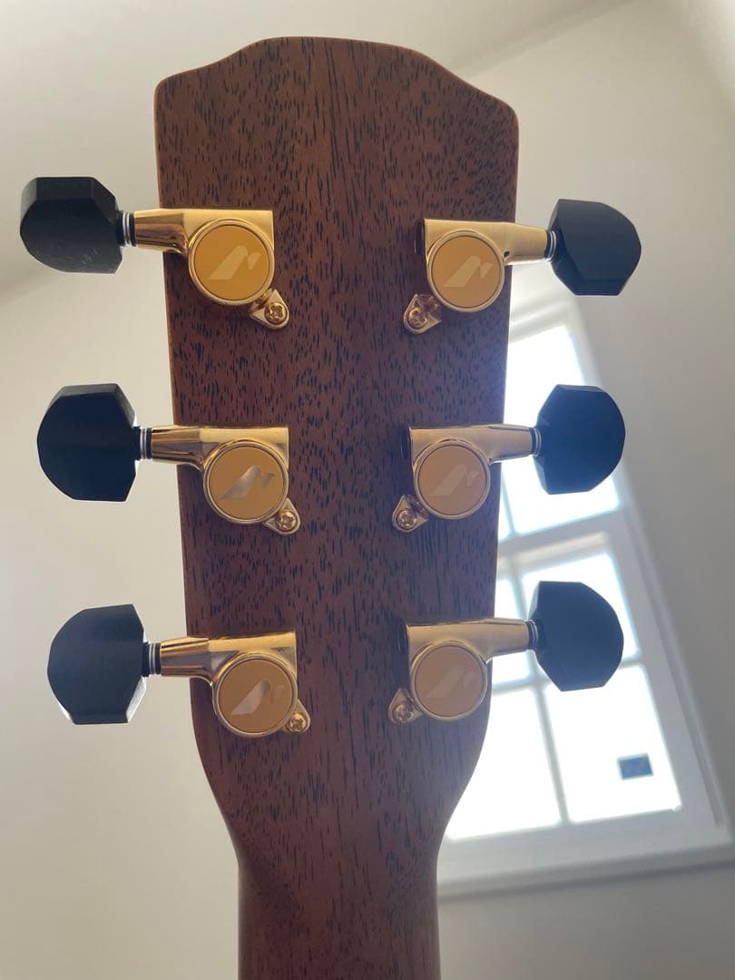 Morris S-104 РН モーリスパープルハート　アコースティックギター