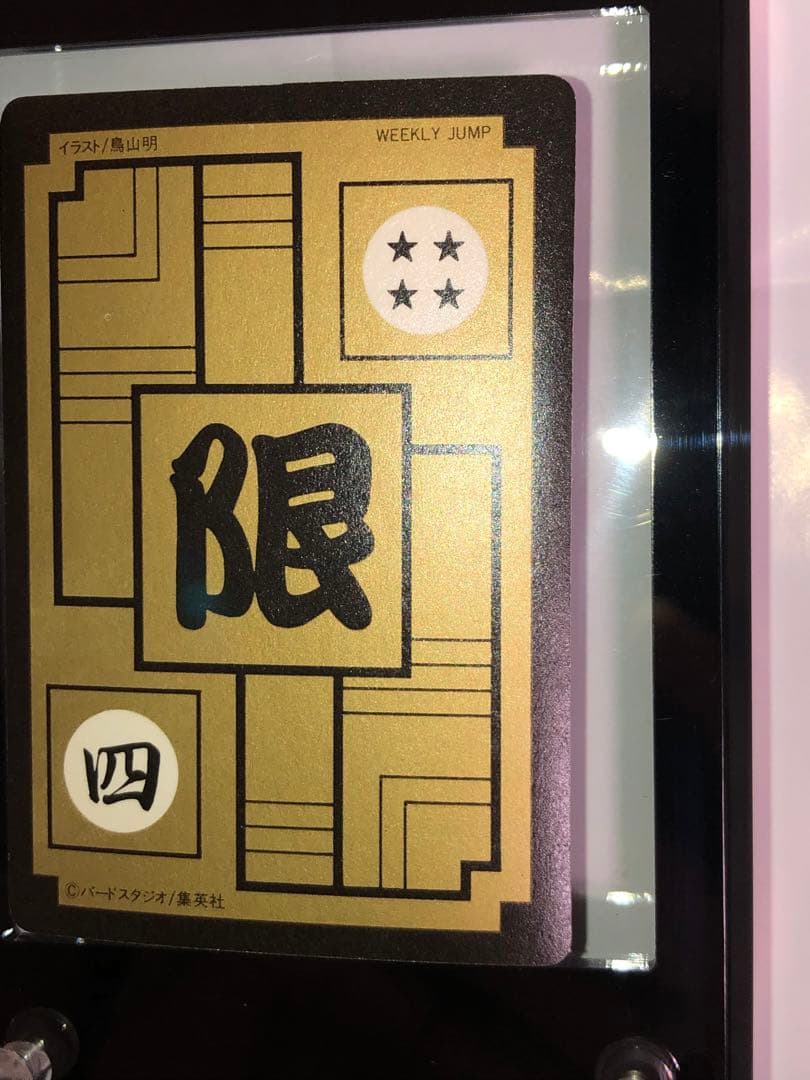 ドラゴンボールカードダス めちゃんこプロジェクト IV 孫悟飯 正規品 抽プレ