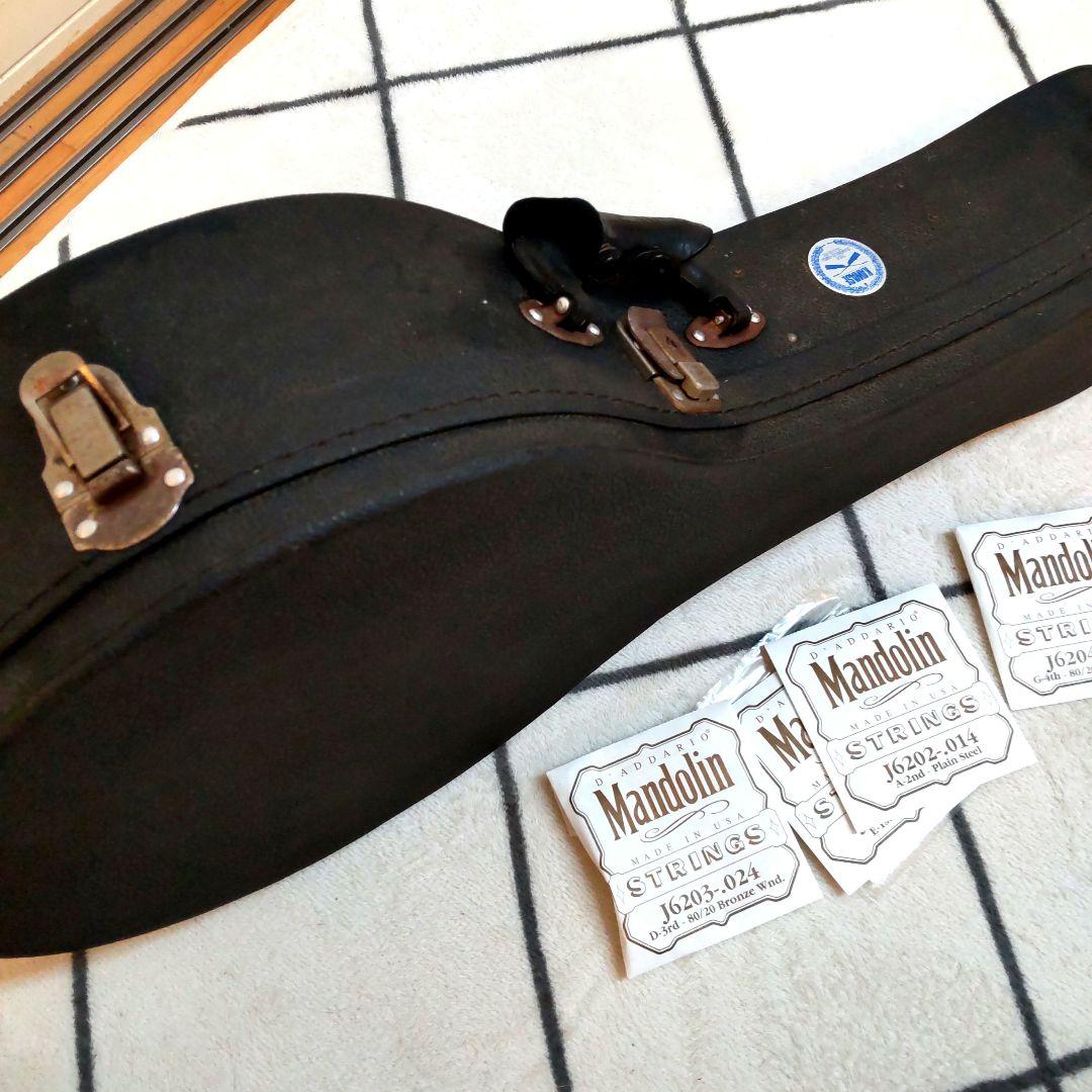 JUMBO 田原楽器　TAHARA　フラットマンドリン　弦楽器 ジャンボ