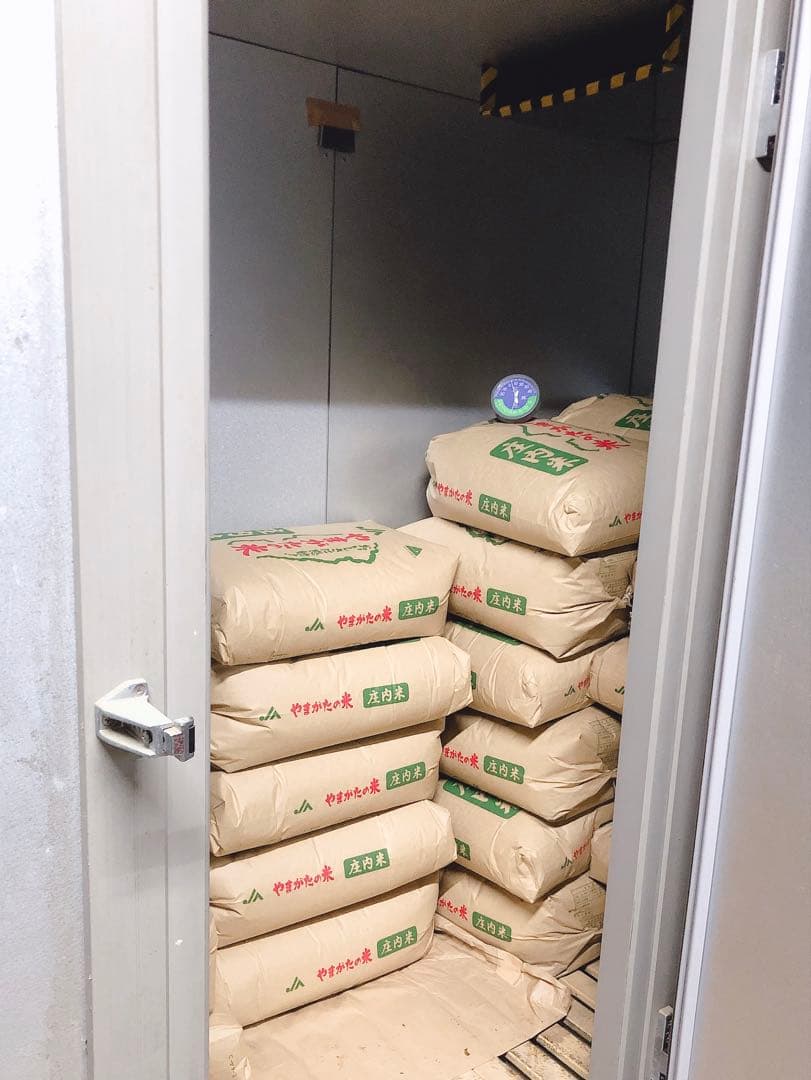 【日本最安値】山形県庄内産　令和7年新米コシヒカリ23kg