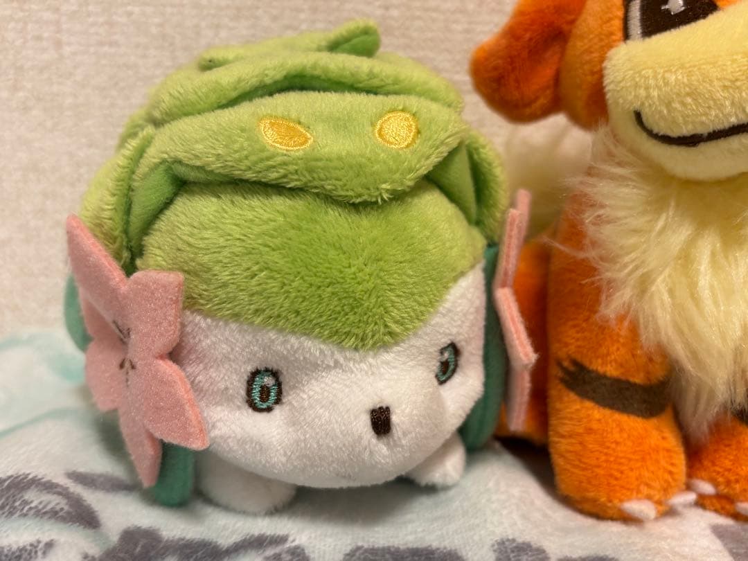 ポケモンセンター限定　キャンバス ぬいぐるみ　4体セット　ミズゴロウ、シェイミ