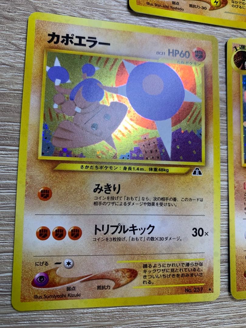 Neoシリーズの地面タイプ/キラカードコンプリートセット ポケモンカード旧裏