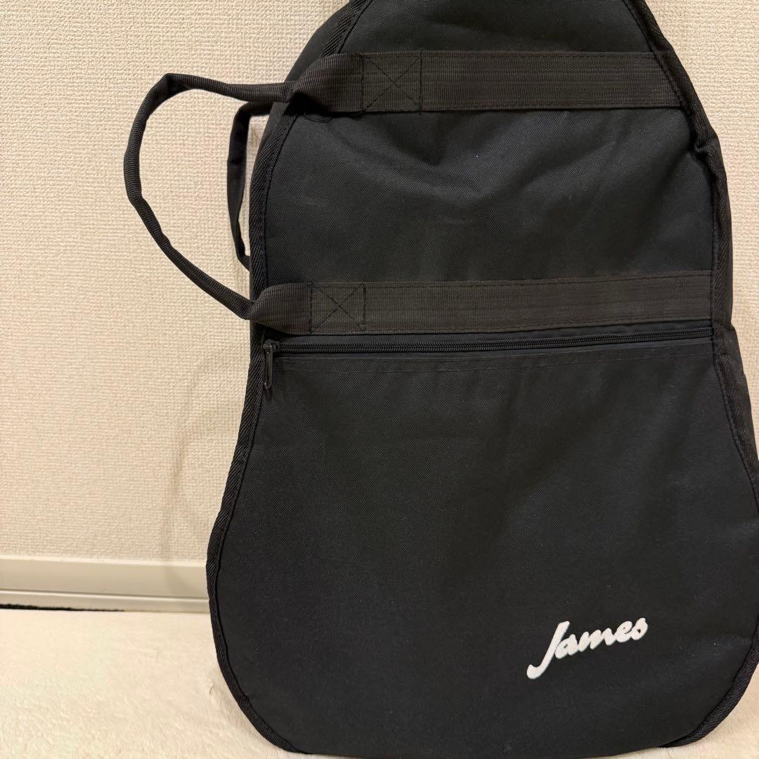 James J-300A CAO アコースティックギター