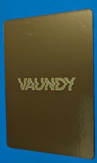 vaundy トレカ　シークレット　little punk