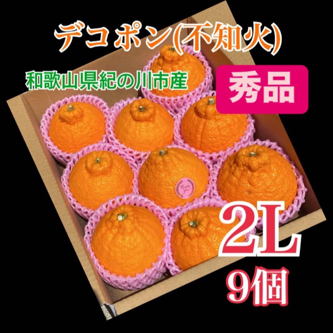 デコポン(不知火)Ｌサイズ秀品　箱込み10kg弱2箱　2L9個