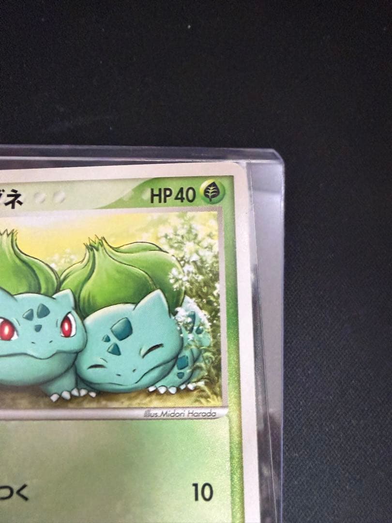 フシギダネ マスターキット 001/015