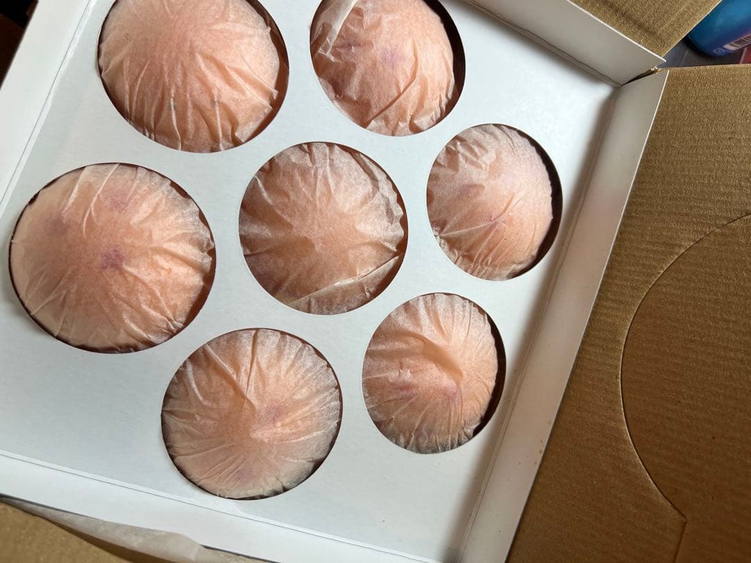 ドラゴンボールカプセル(マジュニアの脅威 ドラゴンボールアドベンチャー編)