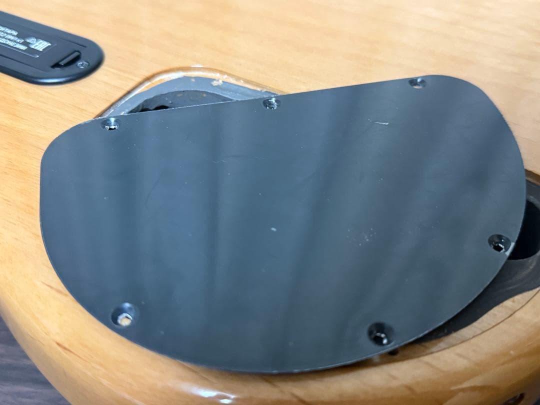 【美品】YAMAHA TRB1004J natural【弦交換setup】