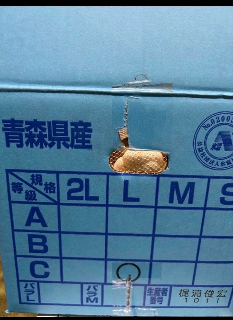 ラスト1ケース　青森産　にんにく　C品Lサイズ　 10キロ　JA全農あおもり