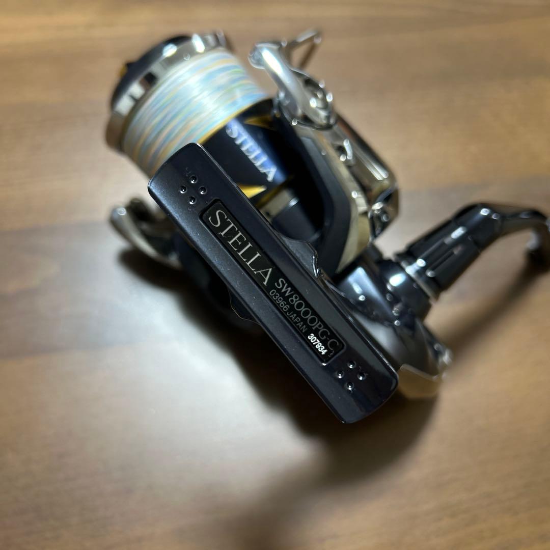 美品 SHIMANO 19STELLA SW8000PG