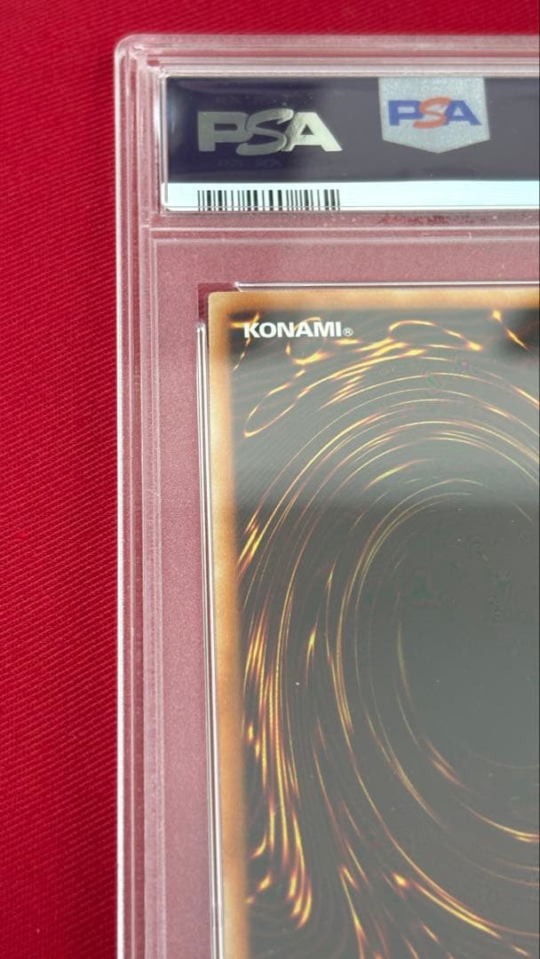 遊戯王 PSA10 ブラックローズドラゴン ホログラフィック