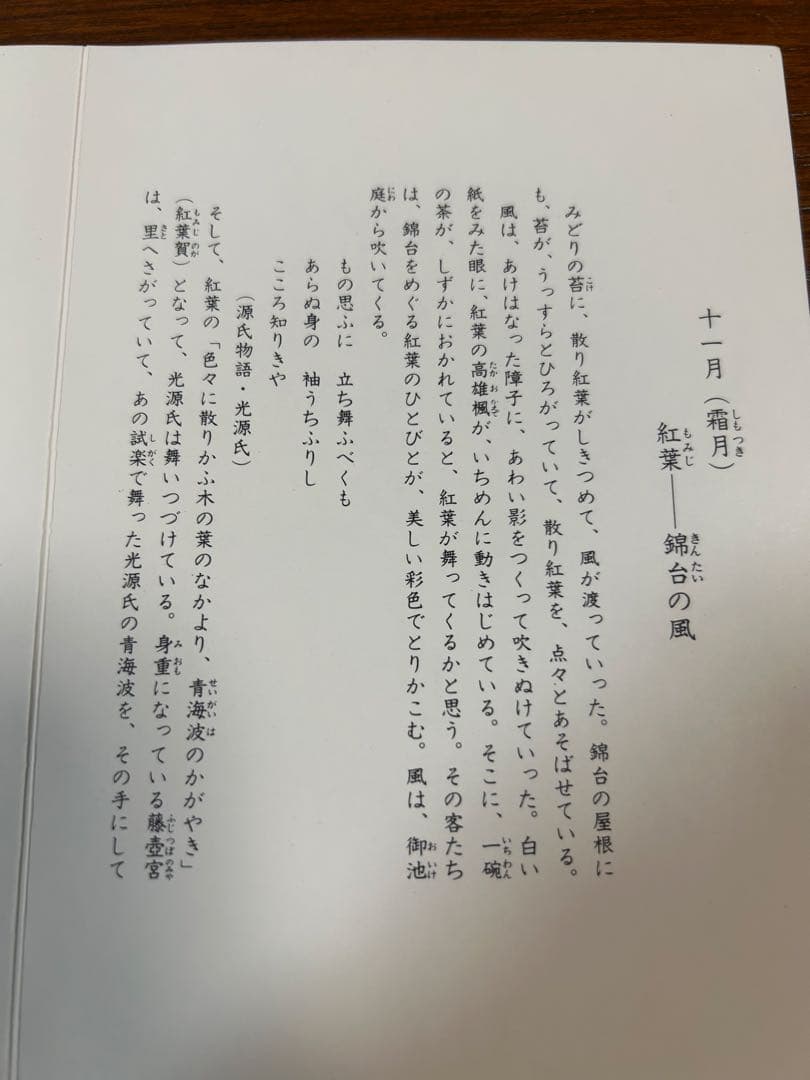 135桑野むつ子 京都 御所の花十二ヶ月【11月紅葉】抹茶椀・和陶皿 しおり付