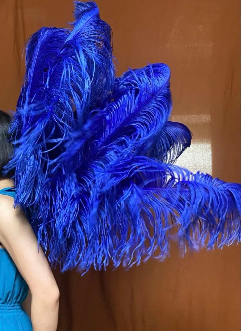 カーニバル衣装 ボリューム満点 青い純正ダチョウ羽根のダンスコスチューム