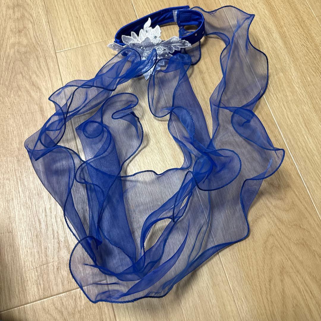 B1444★SMサイズ★青×白/花モチーフ/スタンダードドレス☆社交ダンス