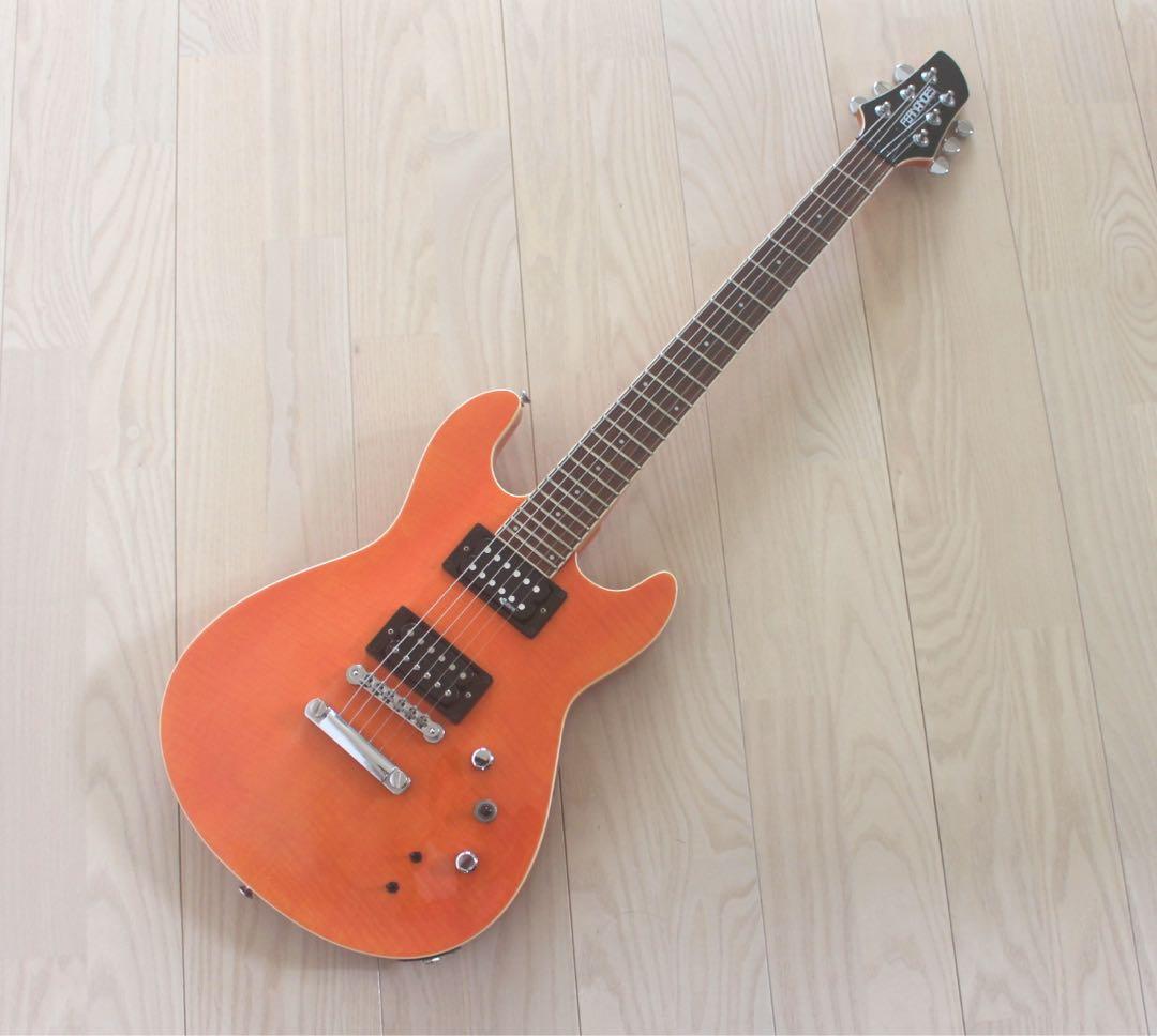 Fernandes APG-55S サスティナー搭載