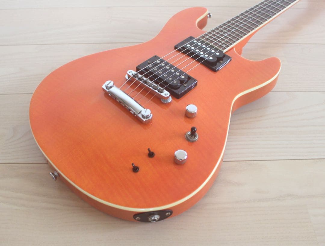 Fernandes APG-55S サスティナー搭載