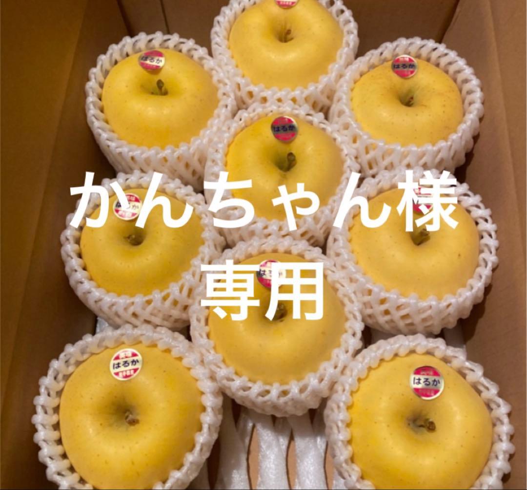 かんちゃん同梱