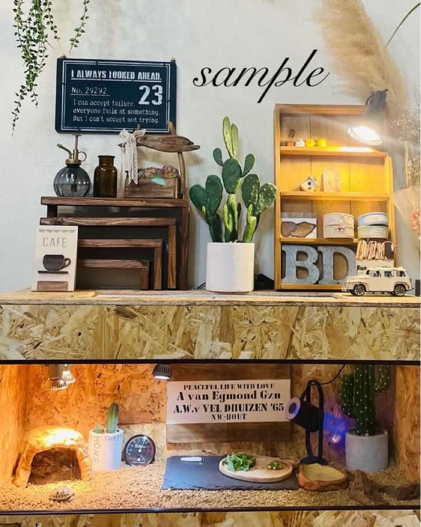 爬虫類ケージ　木製ケージ　フトアゴ　ハリネズミ フルオプション　送料込