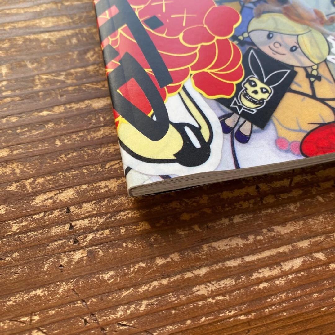 KAWS ARKITIP Magazine カウズ 1000部限定 雑誌 写真集