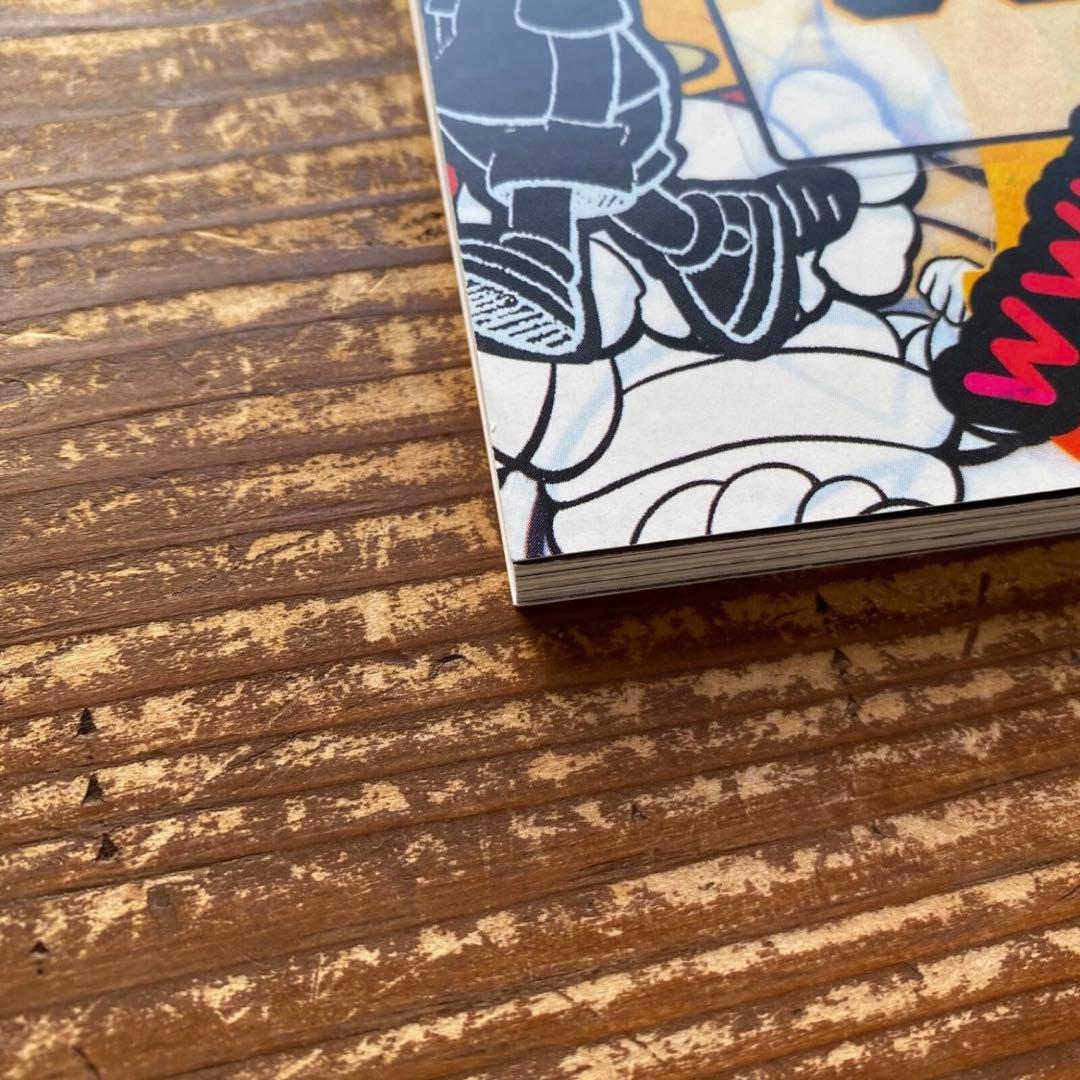 KAWS ARKITIP Magazine カウズ 1000部限定 雑誌 写真集