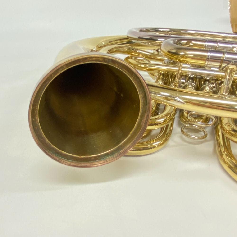 Deyu ホルン マウスピース付属 リュックケース