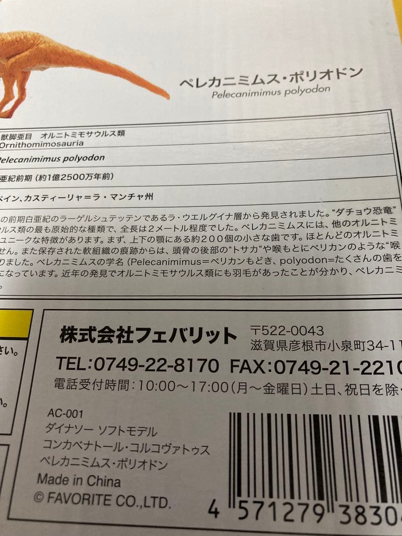 福井県立恐竜博物館監修　スペイン展限定　荒木一成原型　恐竜フィギュア2体