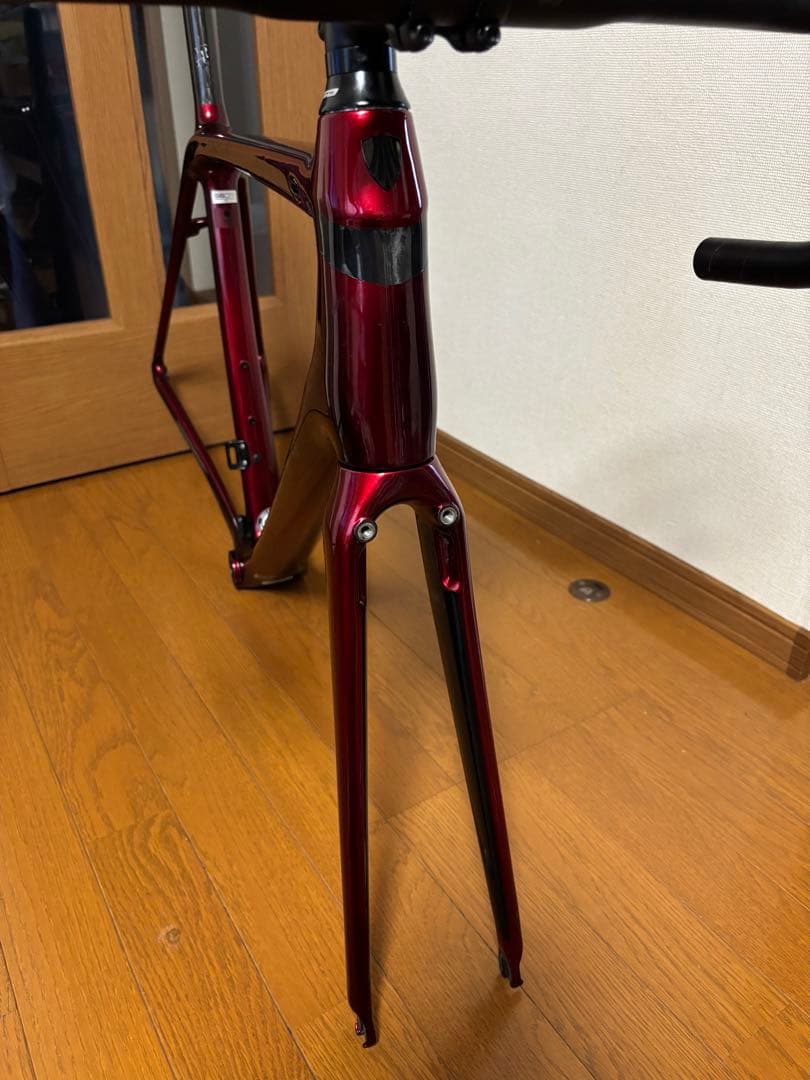 トレックTREK エモンダ EMONDA SL6 2019 56サイズ フレーム