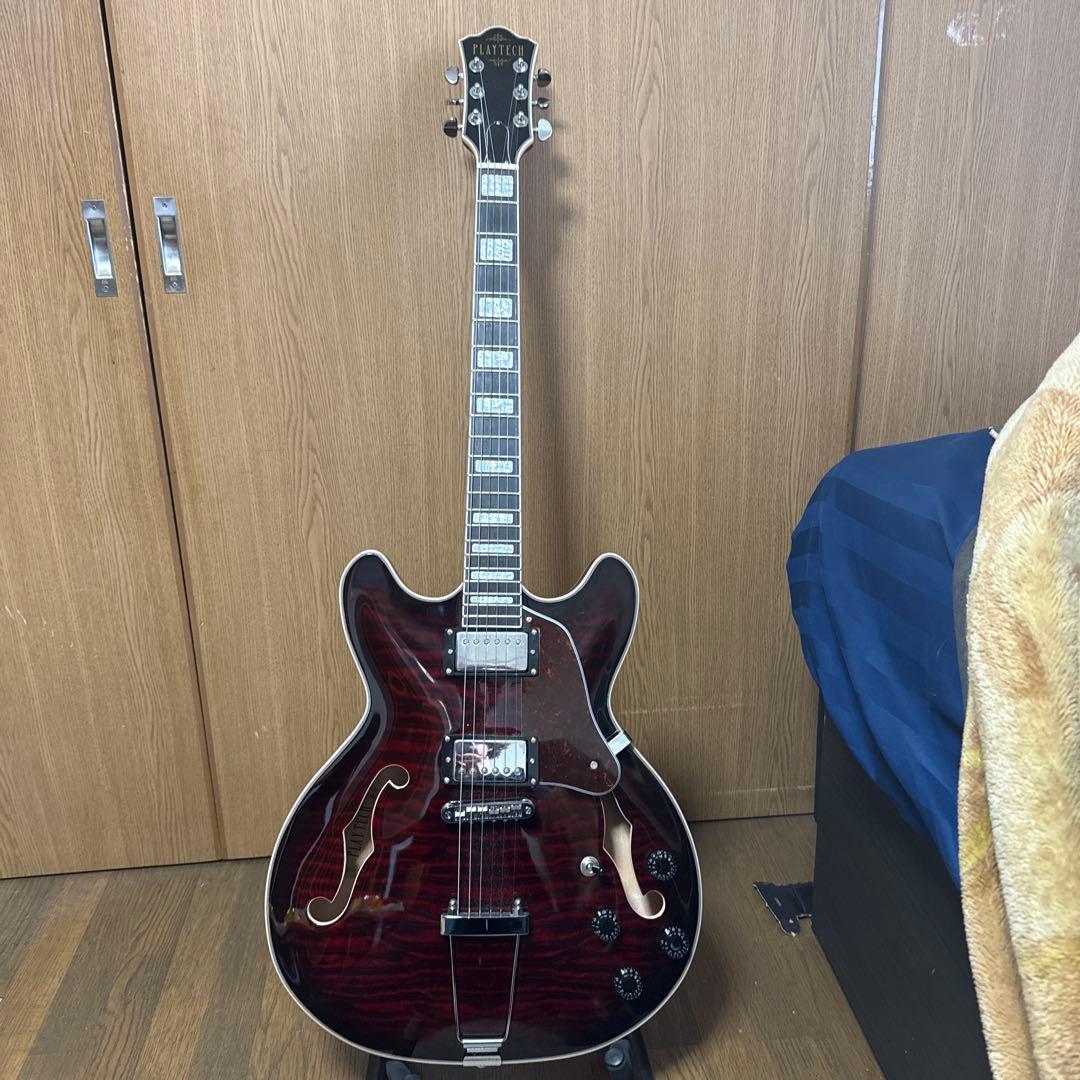 エレキギター/セミアコースティックギター