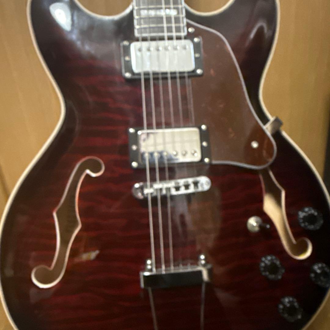 エレキギター/セミアコースティックギター