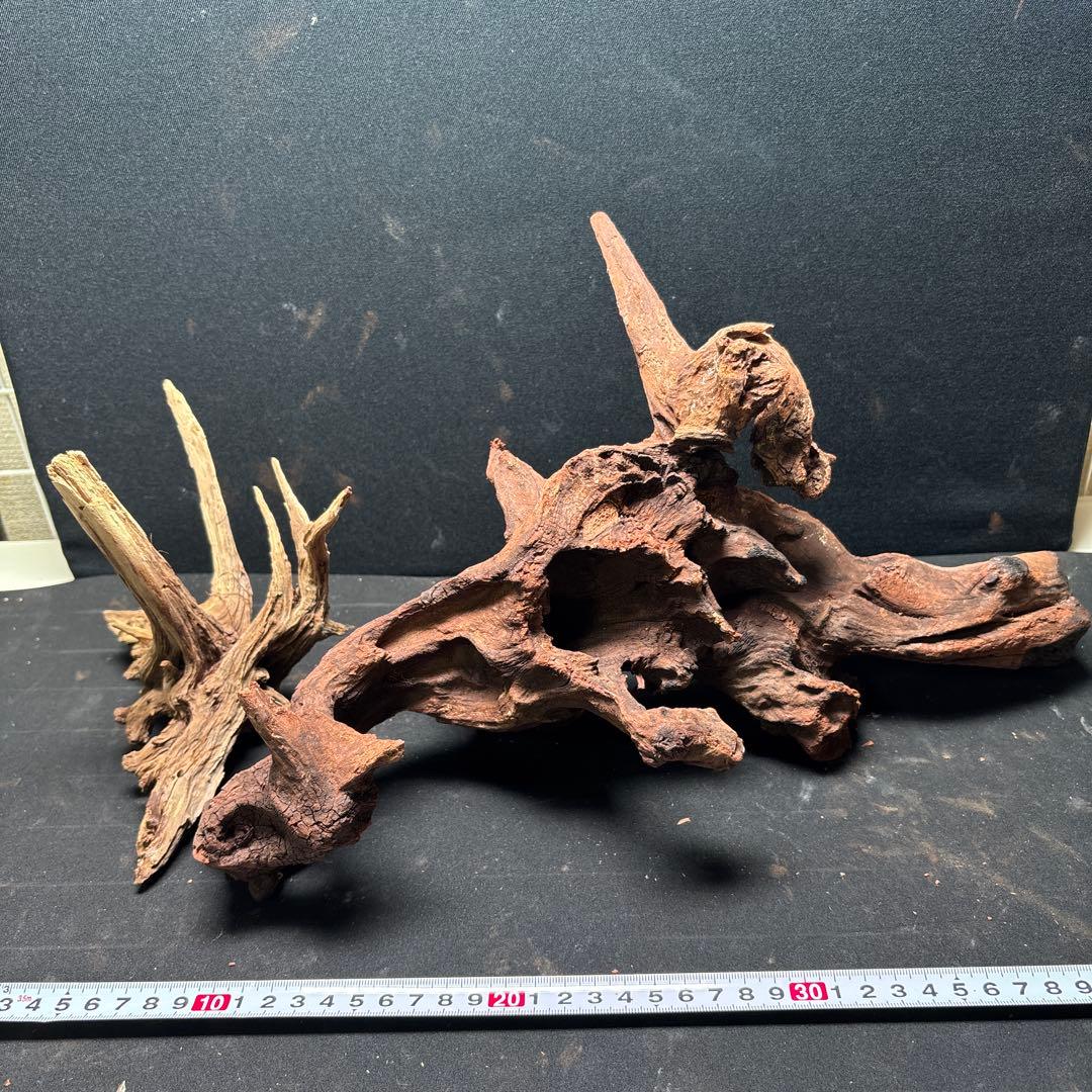 ADAホーンウッド13個