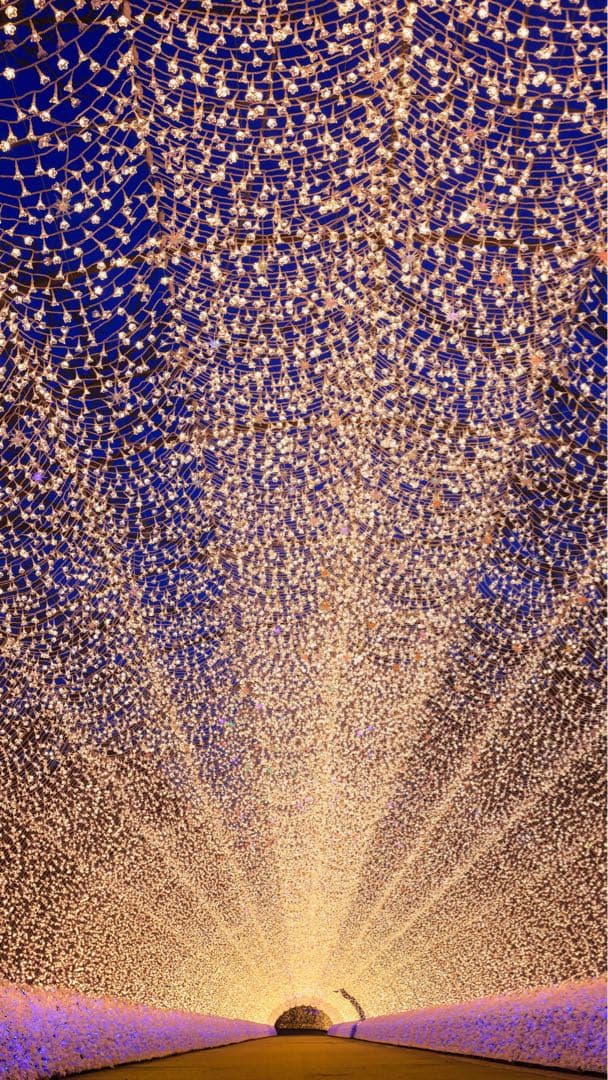 プロフ更新 LNB_Materials.です。