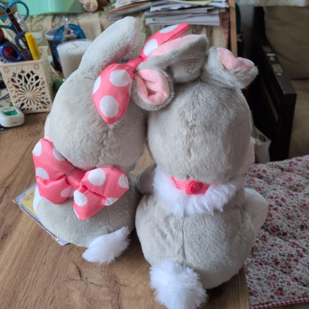 イエックラビット　エインラビット