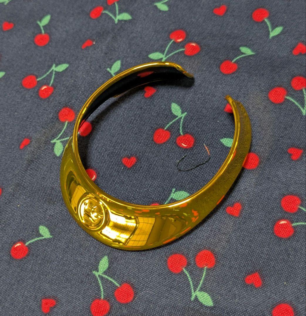 希少 aibo プレミアムプラン アイボ 限定首輪 ゴールドカラー