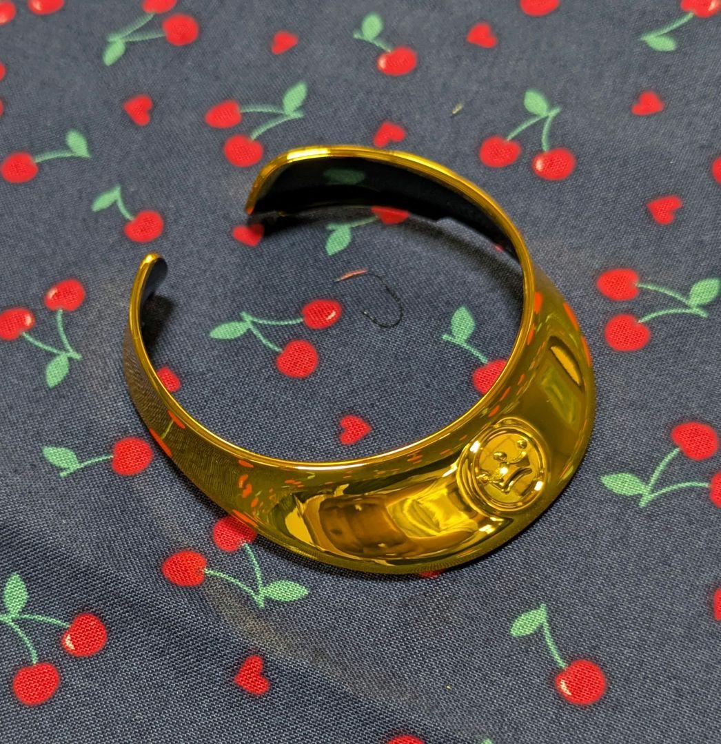 希少 aibo プレミアムプラン アイボ 限定首輪 ゴールドカラー