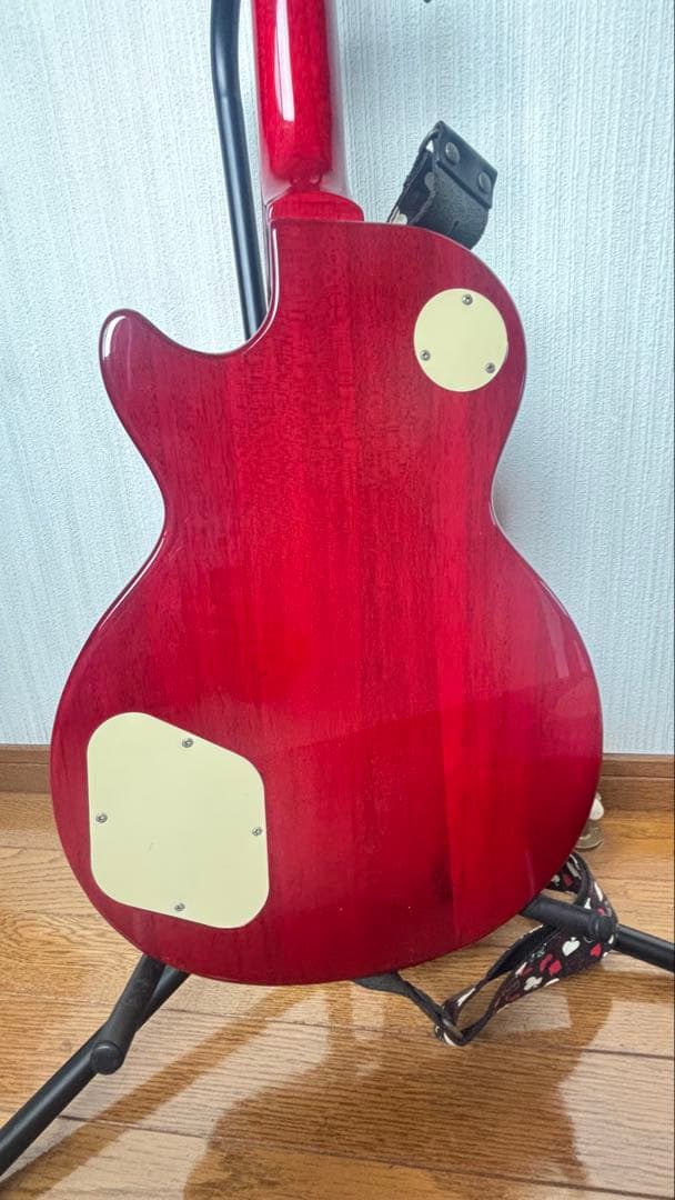 Bacchus バッカス エレキギター レスポール ソフトケース付き✨