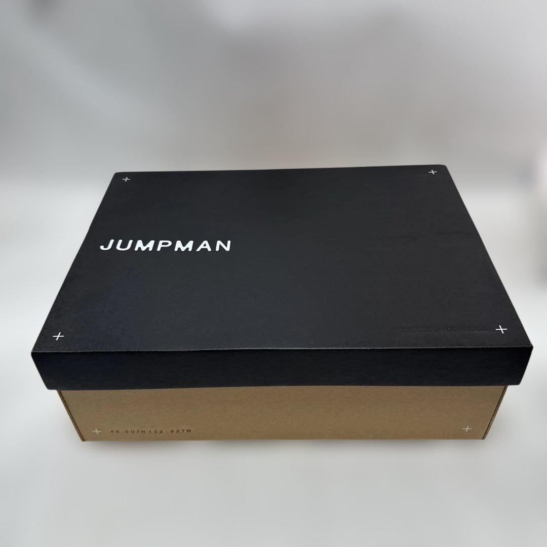 NIKE エアージョーダン 29センチ　未使用